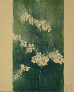 Flores En Verde